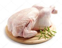 High quality frozen fresh halal chicken from Turkey