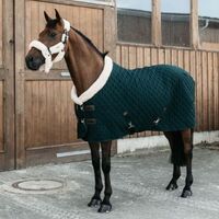 Pine Green Quilted Horse Blanket/Blanket - Equestrian