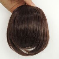 Hot sale cheap synthetic hair bangs tassel clip in bangs straight hair extensions brown black for women beauty ladies