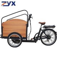 New 3 Wheels Electric Bike Adult Cargo Electric Bike with Basket 500 W e bike Electric Tricycle Electric Bike