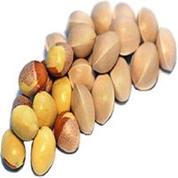 Cheap ginkgo nuts for sale at good price