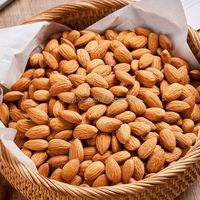 Wholesale Healthy Snacks Organic Almond Nuts Bulk Premium Roasted American Almonds