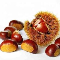 2021 New Organic Fresh Chestnut