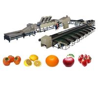 FACTORY OUTLET(FUSHI BRAND) FRUIT&VEGETABLE PROCESSING WASHING WAXING DRYING AND GRADING MACHINE
