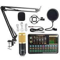Personal Entertainment Microphone Webcast Streamer Live Broadcast External Audio USB Sound Card for PC Phone Computer