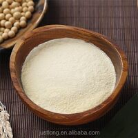soy milk -powder, instant soy milk powder, organic soymilk powder