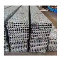 Manufacturer Hot Sale Customized Construction Steel Channel Price Perforated Galvanized Steel Double C Channel