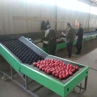 Henan topp machinery good quality PLC apple avocado fruit sorting sorter machine