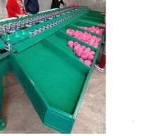 apple weight fruit sorting machine sorter grading machine