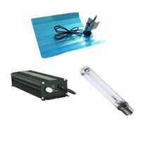 600W balastro electronic digital ballast kit top selling grow lights professional grow light