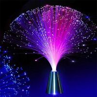 Colorful Christmas Xmas Party Decor Luminous Flower Lamp Gradients Led Optic Fiber Star Light