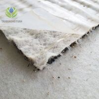 Waterproofing Bentonite Blanket Geo synthetic Clay Liner with 0.2MM HDPE liner for landfill bentofix membrane