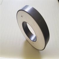 Piezoelectric Ceramic Disc Rings Piezo Ring for Ultrasonic Cleaning