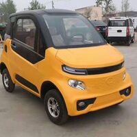 1500 watt Small mini electric two seat car