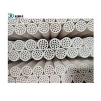 Ultrafiltration Ceramic Membrane Microfiltration Ceramic Membrane For Oilfield Produced Water treatment