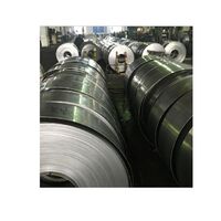 ck75 high carbon alloy steel strip annealed