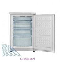 100L Small Single Door Upright Freezer Mini Vertical