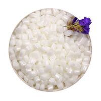 polybutylene terephthalate pbt resin material granules precio