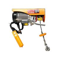 Big discount Factory supply mini ature electric hoist for hot selling