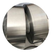 0075mm astm b265 chemical industry rolled gr2 pure titanium foil strip coil