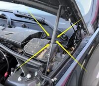 Customizable nitrogen gas spring for car hood