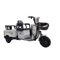 2022 New Product Electric Trike Disc Brakes Fat Tire Electric Tricycle with 3CE Certification