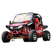 Adult racing two seater off-road karts