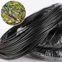 2.0mm-8.0mm Diameter Bonsai Training Black Aluminum Wire From China Supplier