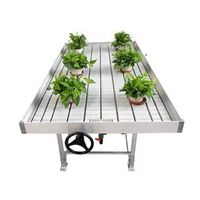 Greenhouse hydroponic ebb and flood tables with rolling bench