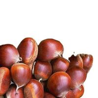 Chinese fresh chestnut price per kg