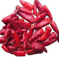 Dried Red Bullet Chilli for hot sales