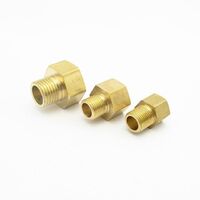 M10 M14 M16 M20 Metric Female To Male Thread Connection Brass Pipe Fitting Adapter Coupler Connector For Fuel Gas Water