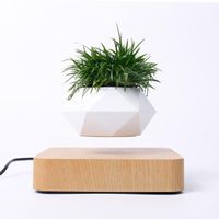 360 Degree Rotating Pot Plant Magnetic Levitating Floating Display Stand