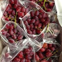 Fresh red grapes, quality export of green grapes from South Africa
