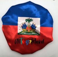 Factory custom Haitian flag hood