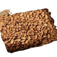 Sale of California Almond Nuts / Almond Nuts / Raw Almonds