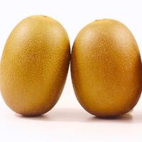 China Supplier of High Quality Gold Fresh Kiwi with Cheap Export Price