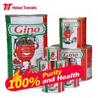 good brand sauce ketchup canned tomatoes or sachets ketchup 28-30% Brix, cheap and good quality de tomate