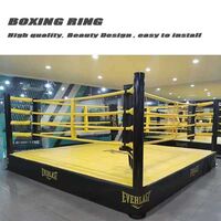 12ft Boxing Ring Boxing Steel Cover Canvas Ring Boxing Ring Kids Wrestling Ring