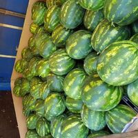 Wholesale fresh watermelon Wholesale fresh watermelon