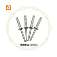 Popular Rivet Different Size Aluminum SS Stainless Steel Single Bolt Outer Lock Structure Blind Rivet