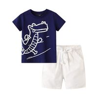 Toddler Boy Clothes Kids Summer Cotton Clothing Set Little Boys Clothing