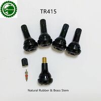 Unique Design Hot Selling Natural Rubber and Brass Snap-In Tubeless Tire Valve Parts