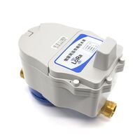 Wireless Remote Meter Reading Lora/ LoRaWAN/ NB-IoT Smart Water Meter