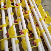 25mm Poultry Drinking System Plastic PVC Round Pipe Chicken Water Pipe