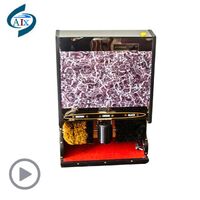 Coin-operated shoe polisher/shoe polisher/shoe polisher