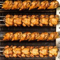 Horus large capacity popular design hot selling rotisserie with CE certification