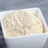 dehydrated white onion powder