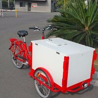UB-9005BW 7-speed ice cream cargo bike for adults