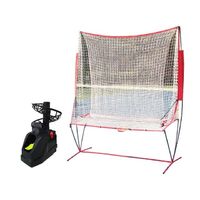 Tennis ball throwing machine with automatic return net